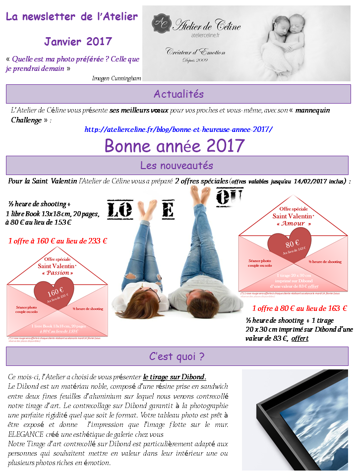 Newsletter janvier 2017