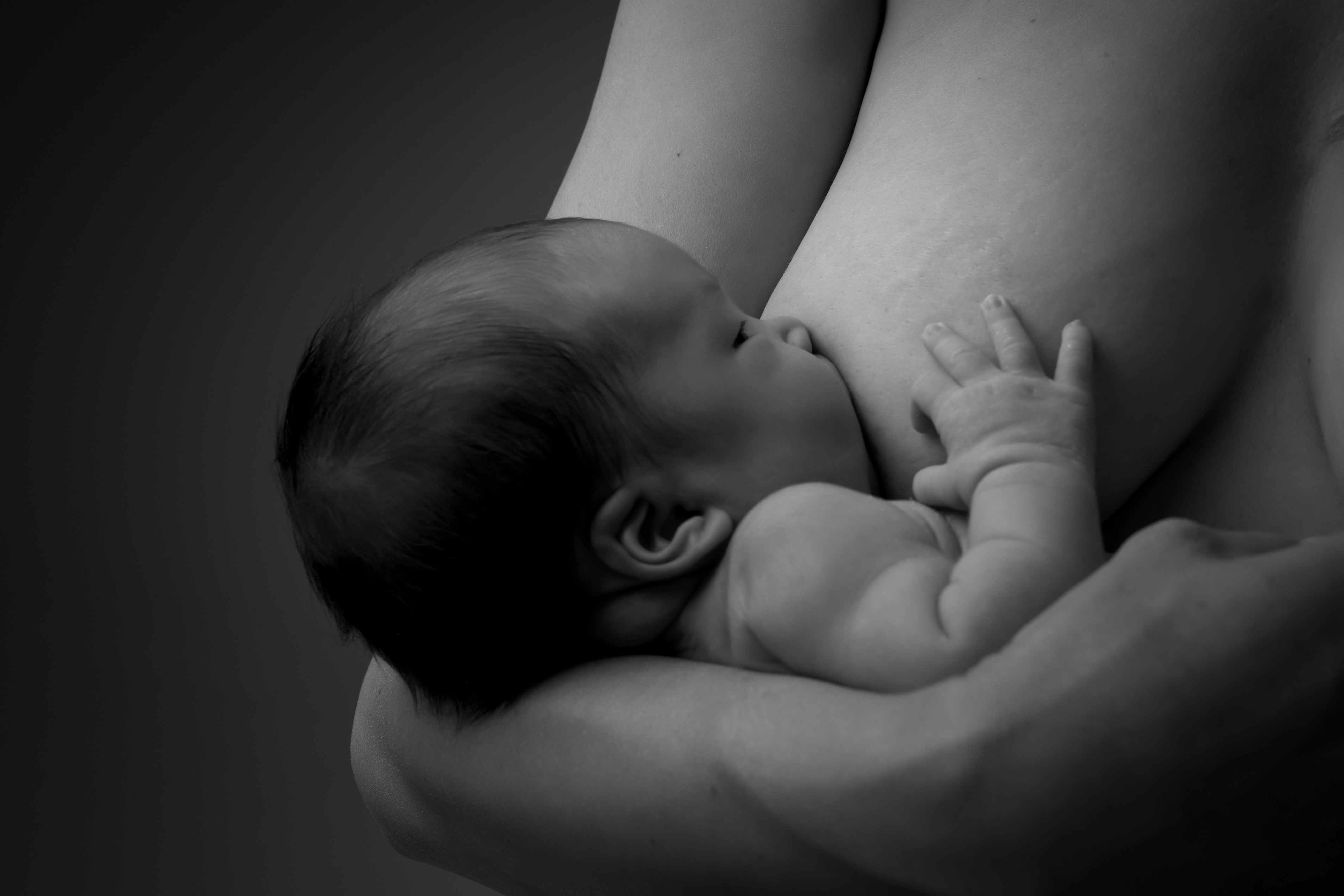 Parents et bébé séance photo naissance famille